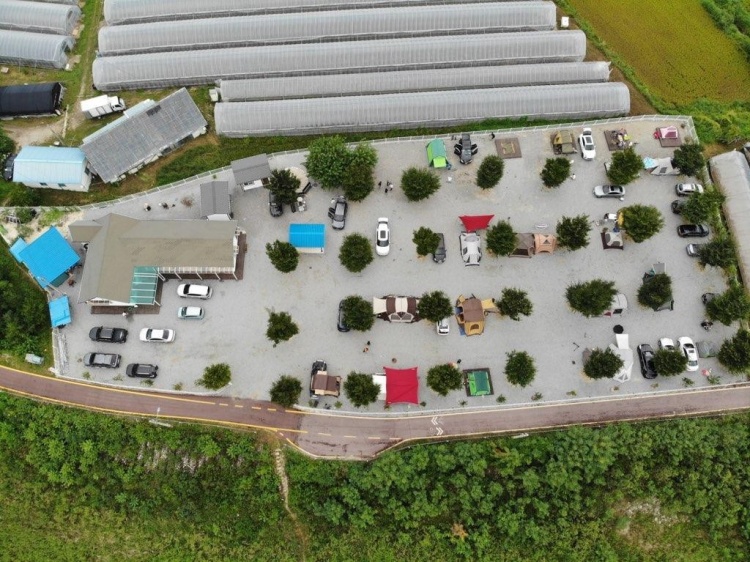 https://d1lbkr44x305l6.cloudfront.net/nolgofarm/user/images/onerror.jpg