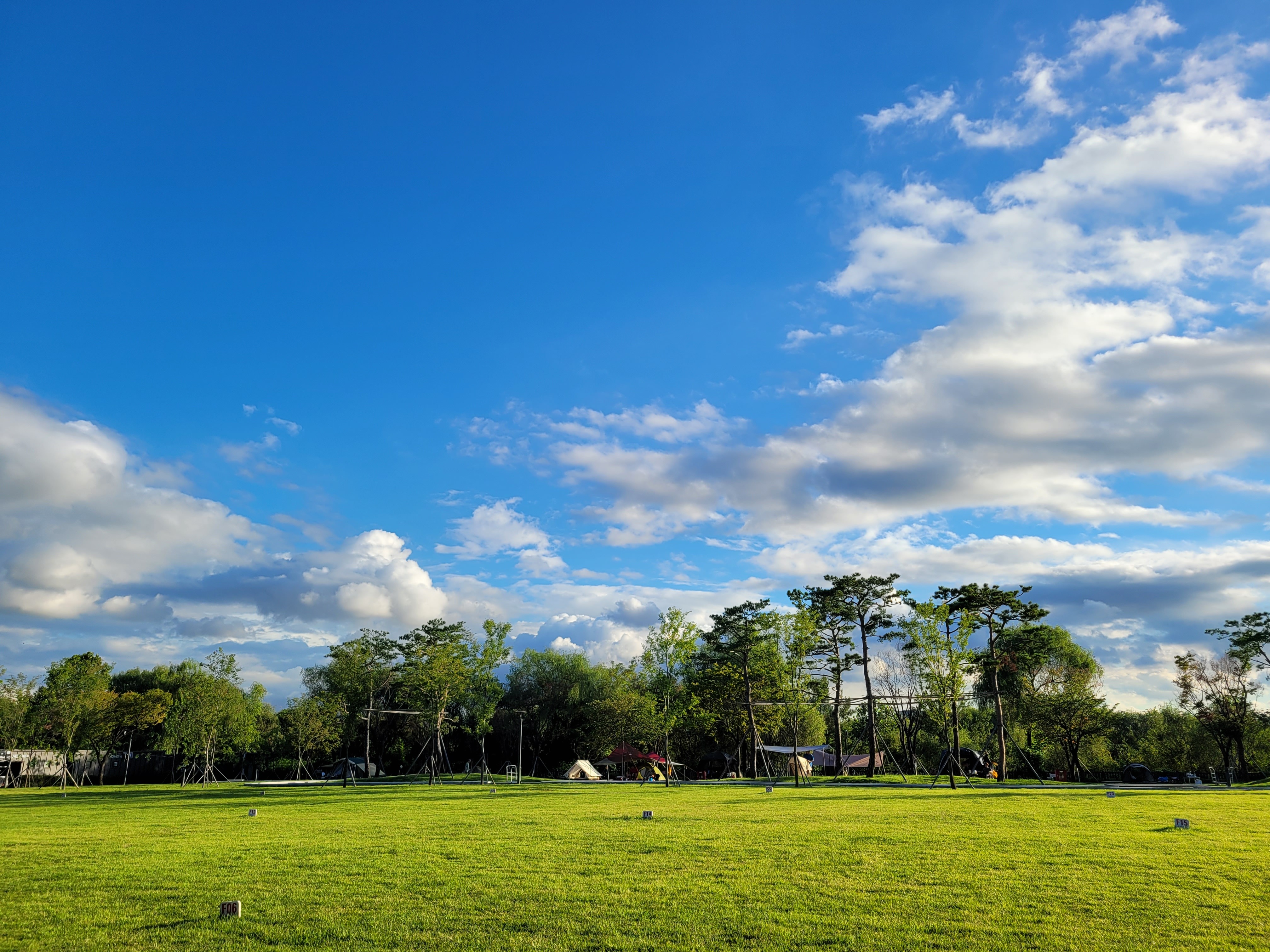 https://d1lbkr44x305l6.cloudfront.net/nolgofarm/user/images/onerror.jpg