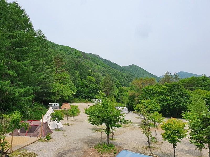 https://d1lbkr44x305l6.cloudfront.net/nolgofarm/user/images/onerror.jpg