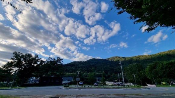 https://d1lbkr44x305l6.cloudfront.net/nolgofarm/user/images/onerror.jpg