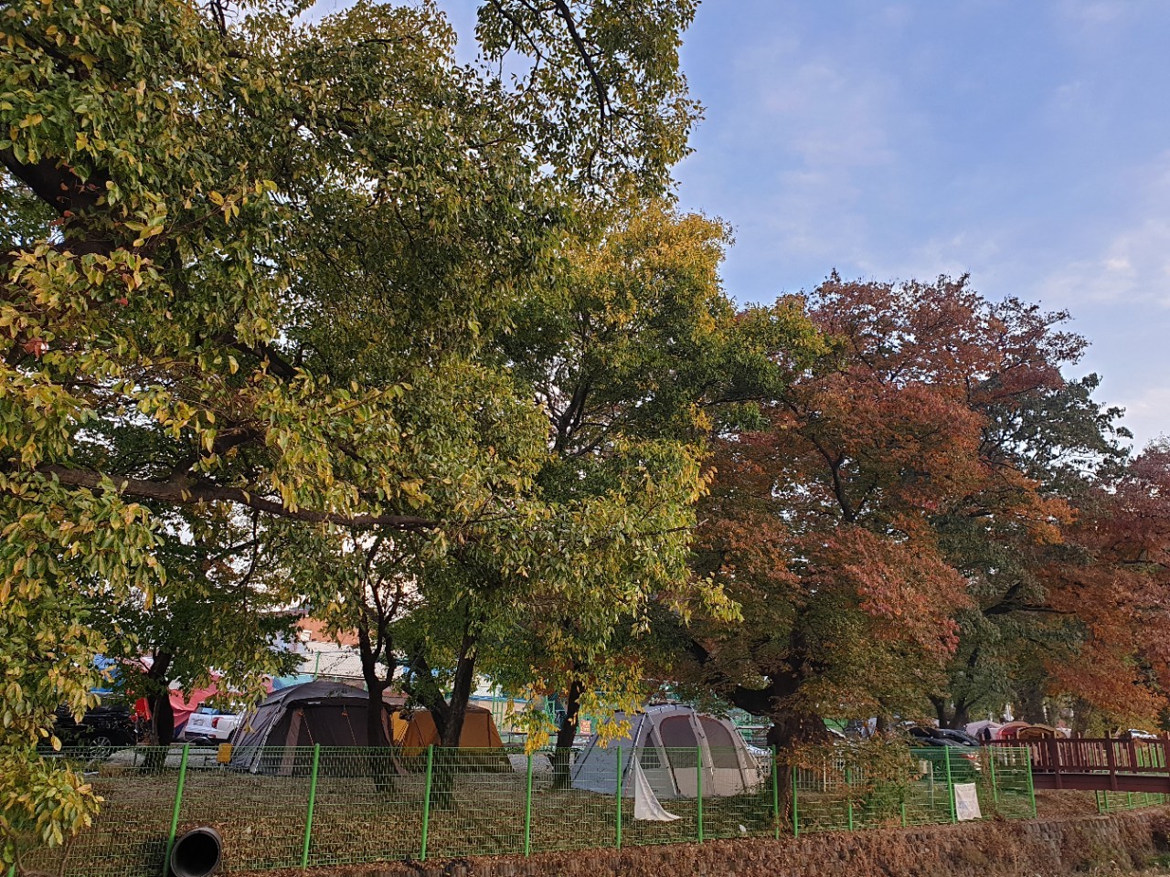 https://d1lbkr44x305l6.cloudfront.net/nolgofarm/user/images/onerror.jpg